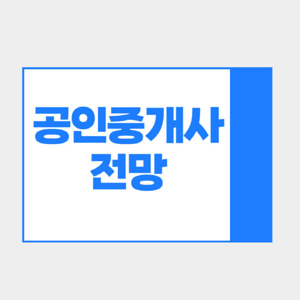 공인중개사-전망-평균-수입-20대-30대-현실