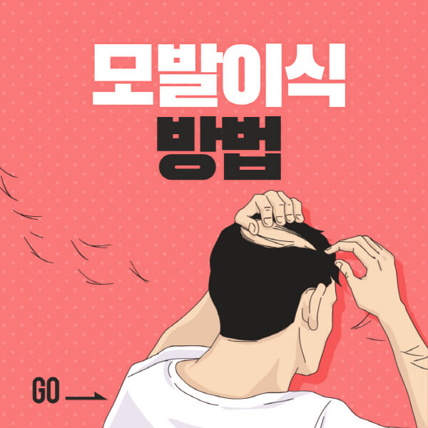 모발이식-방법-생착률-암흑기-통증