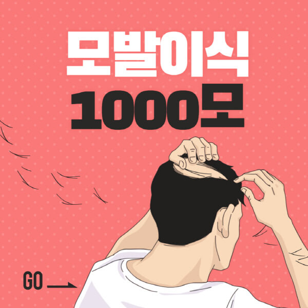 모발이식-1000모-비용-가격-후기-범위-비절개