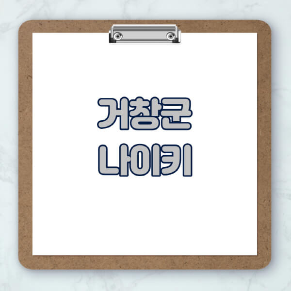 거창군-나이키-매장-추천-운동화-에어포스-신발-키즈-맨투맨-근처-상설할인매장-아울렛-찾기