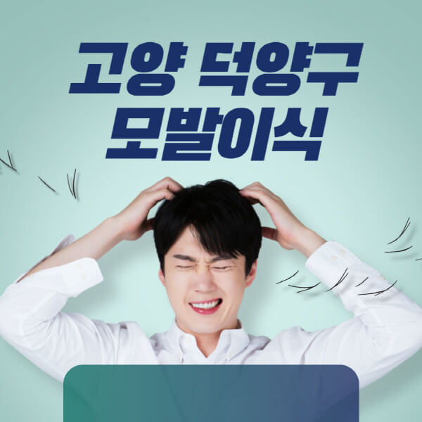 고양-덕양구-모발이식-잘하는-곳-탈모치료-병원-추천-헤어라인-비절개-정수리-남자-여자-비용-후기