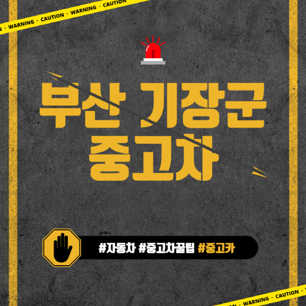 부산-기장군-중고차매매단지-시장-추천-직거래-중고차매매사이트-벤츠-아우디-bmw-현대자동차-기아-제네시스-인증-중고차-가격