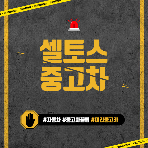 셀토스-중고차-가격-시세표-장점-단점-구매-시-고려사항