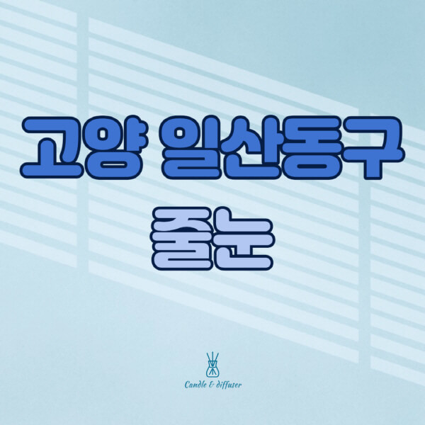 고양-일산동구-줄눈시공-전문업체-잘하는-곳-가격-욕실-화장실-셀프-아파트-시공-방법-효과