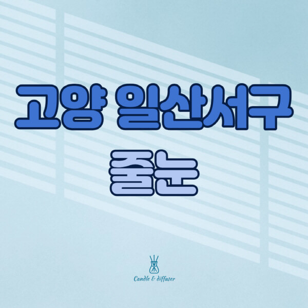 고양-일산서구-줄눈시공-전문업체-잘하는-곳-가격-욕실-화장실-셀프-아파트-시공-방법-효과