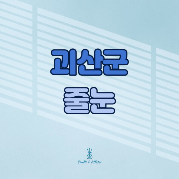 괴산군-줄눈시공-전문업체-잘하는-곳-가격-욕실-화장실-셀프-아파트-시공-방법-효과