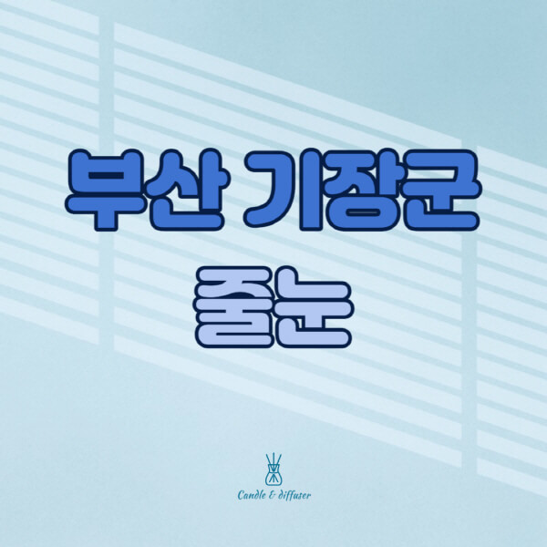 부산-기장군-줄눈시공-전문업체-잘하는-곳-가격-욕실-화장실-셀프-아파트-시공-방법-효과