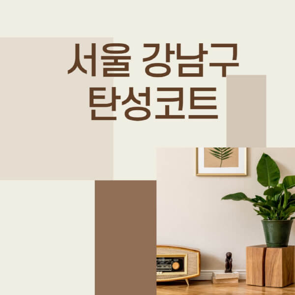 서울-강남구-탄성코트-시공-전문업체-잘하는-곳-베란다-신축-아파트-셀프-페인트-가격-곰팡이-결로-들뜸-보수
