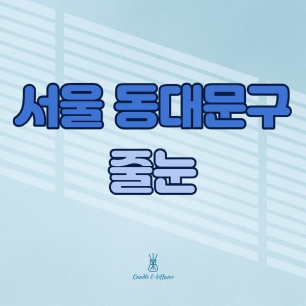 서울-동대문구-줄눈시공-전문업체-잘하는-곳-가격-욕실-화장실-셀프-아파트-시공-방법-효과