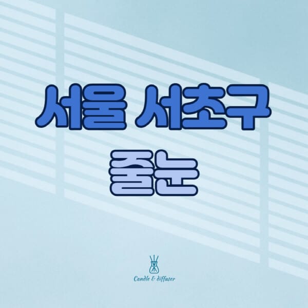 서울-서초구-줄눈시공-전문업체-잘하는-곳-가격-욕실-화장실-셀프-아파트-시공-방법-효과