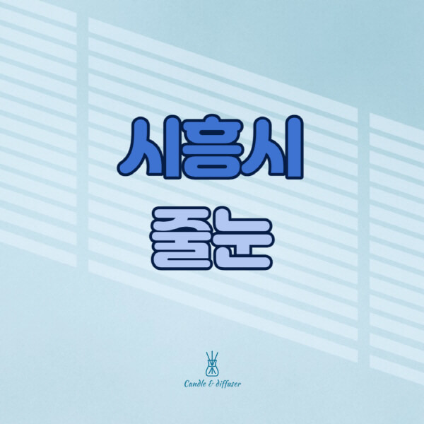 시흥시-줄눈시공-전문업체-잘하는-곳-가격-욕실-화장실-셀프-아파트-시공-방법-효과