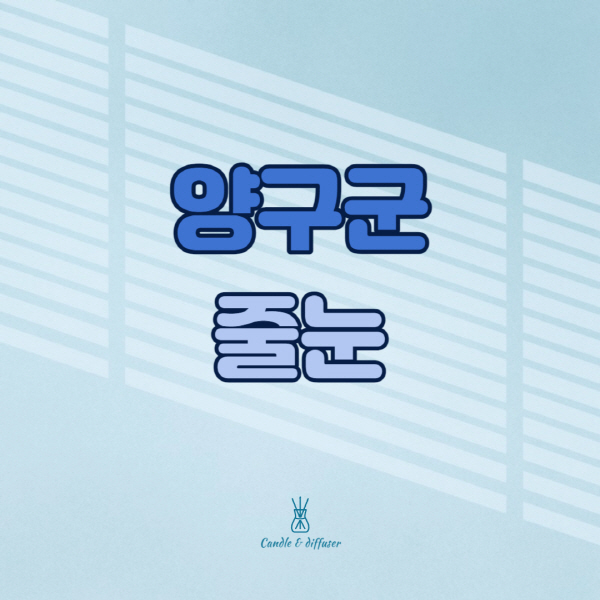 양구군-줄눈시공-전문업체-잘하는-곳-가격-욕실-화장실-셀프-아파트-시공-방법-효과
