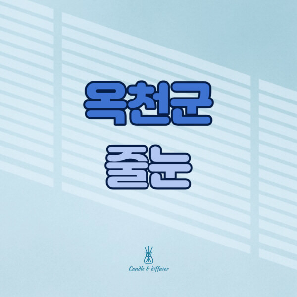 옥천군-줄눈시공-전문업체-잘하는-곳-가격-욕실-화장실-셀프-아파트-시공-방법-효과