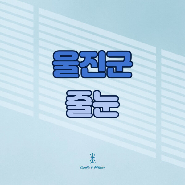 울진군-줄눈시공-전문업체-잘하는-곳-가격-욕실-화장실-셀프-아파트-시공-방법-효과