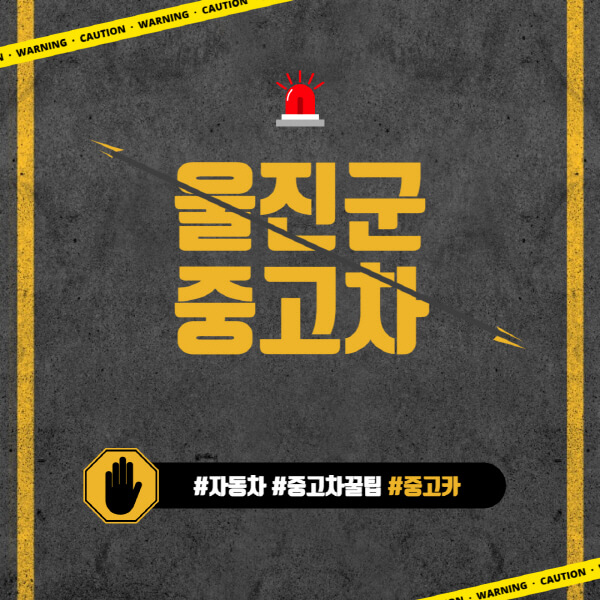 울진군-중고차매매단지-시장-추천-직거래-중고차매매사이트-벤츠-아우디-bmw-현대자동차-기아-제네시스-인증-중고차-가격