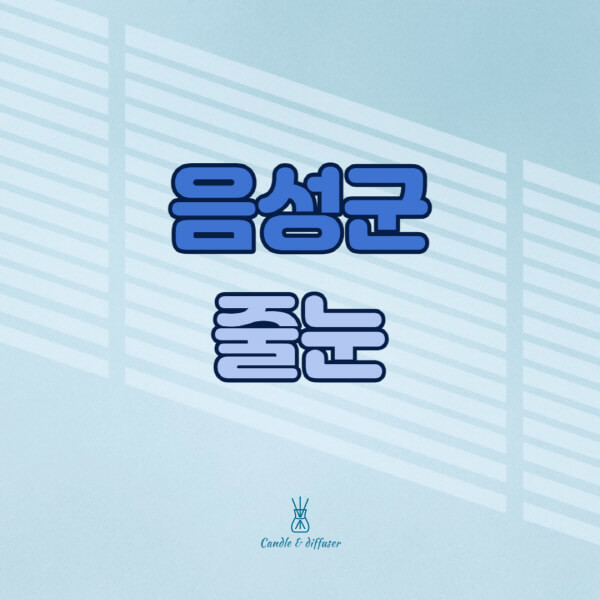 음성군-줄눈시공-전문업체-잘하는-곳-가격-욕실-화장실-셀프-아파트-시공-방법-효과