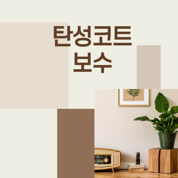 탄성코트-보수-방법-셀프-주의사항