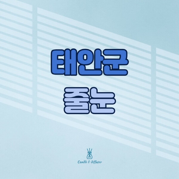 태안군-줄눈시공-전문업체-잘하는-곳-가격-욕실-화장실-셀프-아파트-시공-방법-효과