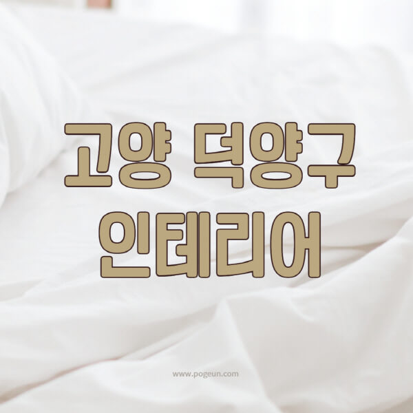 고양-덕양구-인테리어-업체-추천-잘하는-곳-비용-견적비교-서재-욕실-거실-주방-아파트-소품