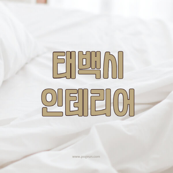 태백시-인테리어-업체-추천-잘하는-곳-비용-견적비교-서재-욕실-거실-주방-아파트-소품