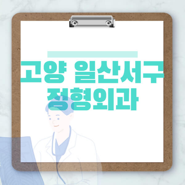 고양-일산서구-도수치료-물리치료-정형외과-병원-추천-잘하는-곳-비용-효과-부작용-실비-손가락-발가락-어깨-허리-무릎