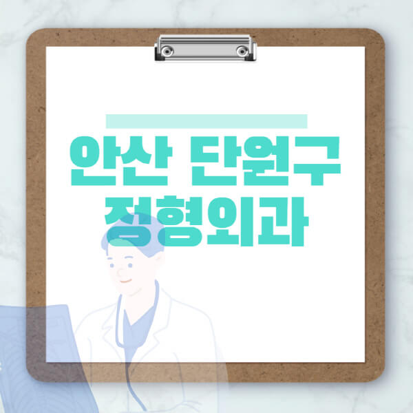 안산-단원구-도수치료-물리치료-정형외과-병원-추천-잘하는-곳-비용-효과-부작용-실비-손가락-발가락-어깨-허리-무릎