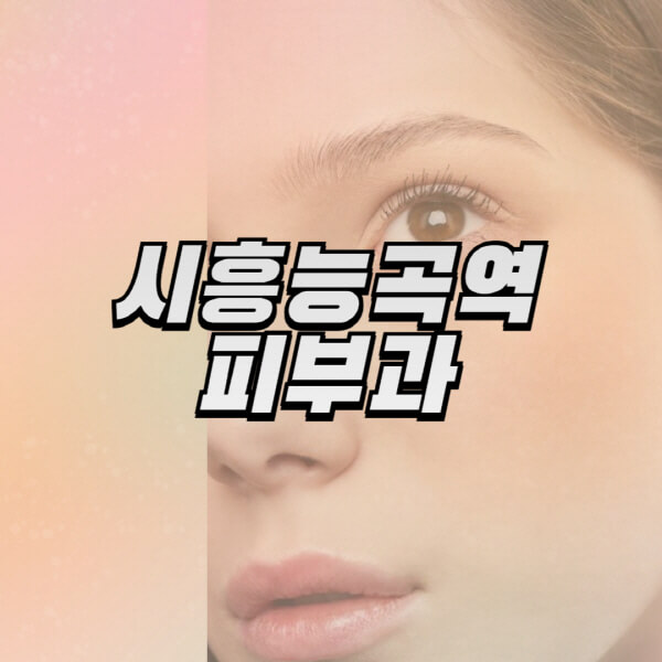 시흥능곡역-피부과-잘하는-곳-추천-전문의-일요일-진료-유명한-곳-리프팅-보톡스-필러-레이저제모-여드름