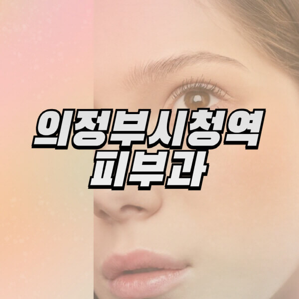 의정부시청역-피부과-잘하는-곳-추천-전문의-일요일-진료-유명한-곳-리프팅-보톡스-필러-레이저제모-여드름