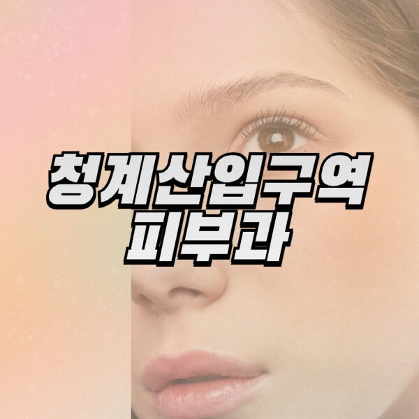 청계산입구역-피부과-잘하는-곳-추천-전문의-일요일-진료-유명한-곳-리프팅-보톡스-필러-레이저제모-여드름