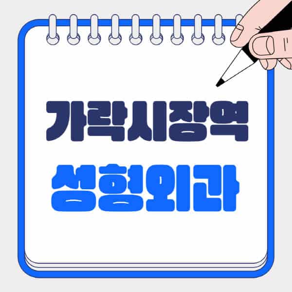가락시장역-성형외과-유명한-곳-추천-일요일-전문의-잘하는-곳-흉터-눈-코-얼굴-지방이식