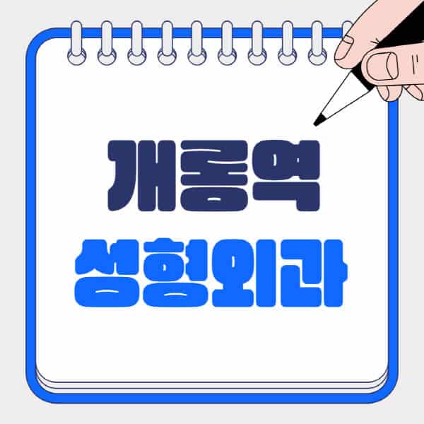 개롱역-성형외과-유명한-곳-추천-일요일-전문의-잘하는-곳-흉터-눈-코-얼굴-지방이식