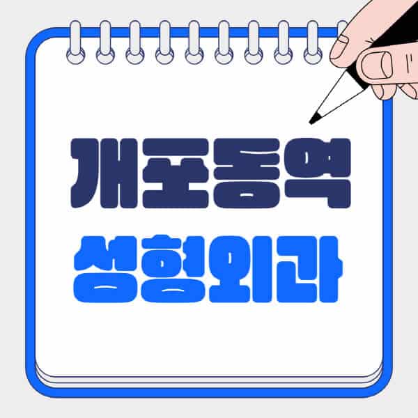 개포동역-성형외과-유명한-곳-추천-일요일-전문의-잘하는-곳-흉터-눈-코-얼굴-지방이식