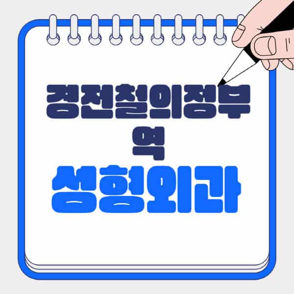 경전철의정부역-성형외과-유명한-곳-추천-일요일-전문의-잘하는-곳-흉터-눈-코-얼굴-지방이식