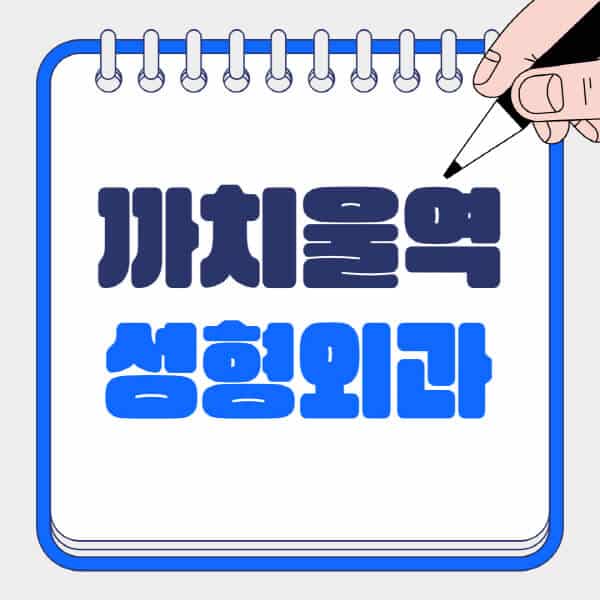 까치울역-성형외과-유명한-곳-추천-일요일-전문의-잘하는-곳-흉터-눈-코-얼굴-지방이식