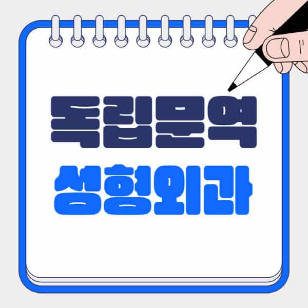 독립문역-성형외과-유명한-곳-추천-일요일-전문의-잘하는-곳-흉터-눈-코-얼굴-지방이식