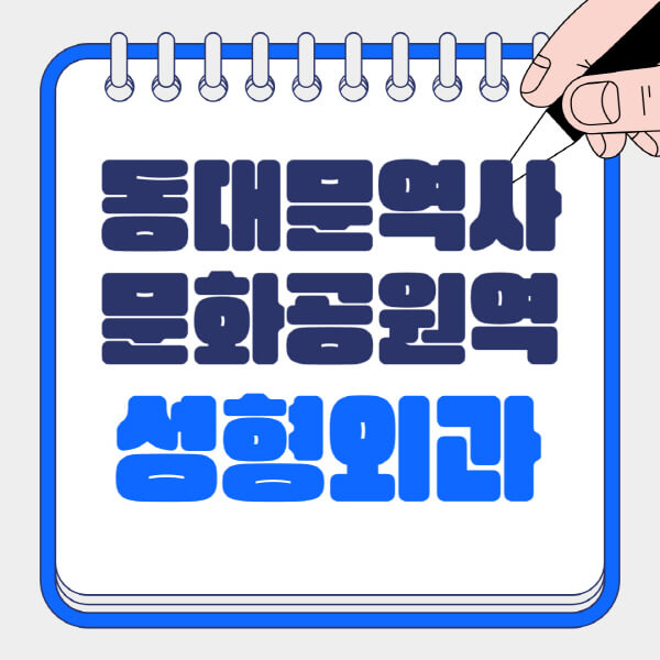 동대문역사문화공원역-성형외과-유명한-곳-추천-일요일-전문의-잘하는-곳-흉터-눈-코-얼굴-지방이식