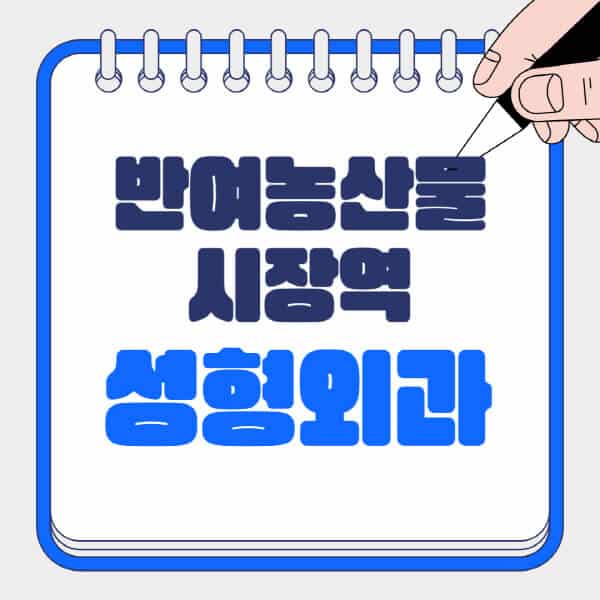 반여농산물시장역-성형외과-유명한-곳-추천-일요일-전문의-잘하는-곳-흉터-눈-코-얼굴-지방이식