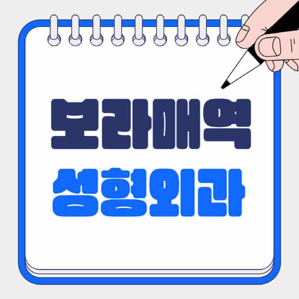 보라매역-성형외과-유명한-곳-추천-일요일-전문의-잘하는-곳-흉터-눈-코-얼굴-지방이식