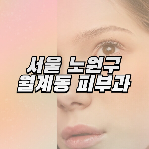 서울-노원구-월계동-피부과-잘하는-곳-추천-전문의-일요일-진료-유명한-곳-리프팅-보톡스-필러-레이저제모-여드름
