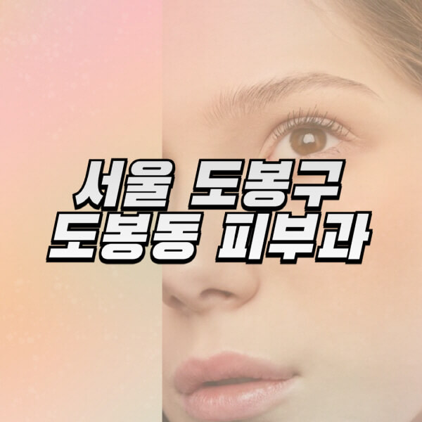 서울-도봉구-도봉동-피부과-잘하는-곳-추천-전문의-일요일-진료-유명한-곳-리프팅-보톡스-필러-레이저제모-여드름