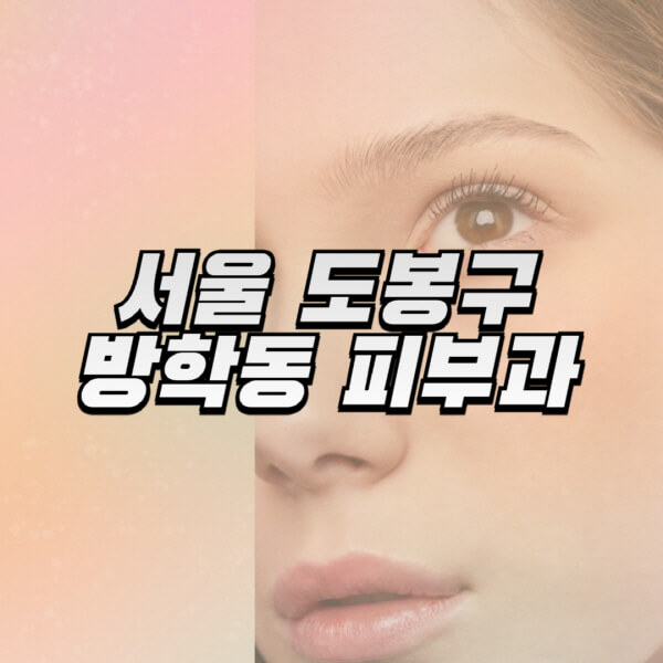 서울-도봉구-방학동-피부과-잘하는-곳-추천-전문의-일요일-진료-유명한-곳-리프팅-보톡스-필러-레이저제모-여드름
