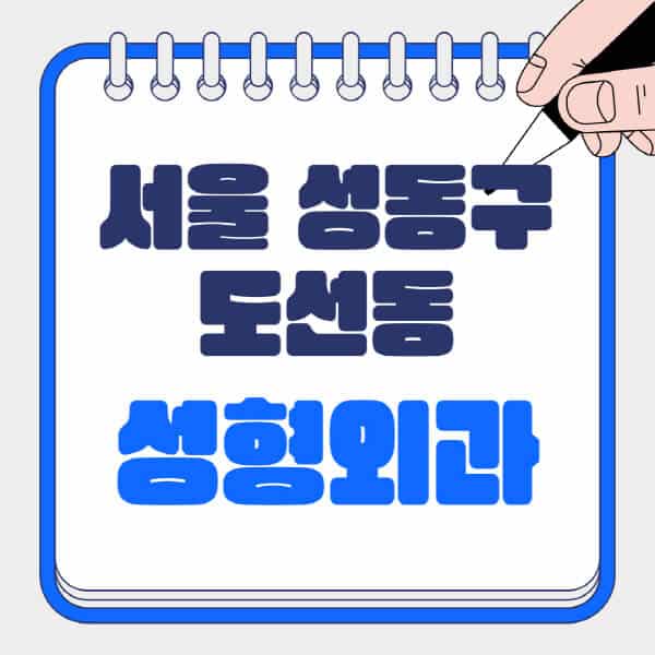 서울-성동구-도선동-성형외과-유명한-곳-추천-일요일-전문의-잘하는-곳-흉터-눈-코-얼굴-지방이식