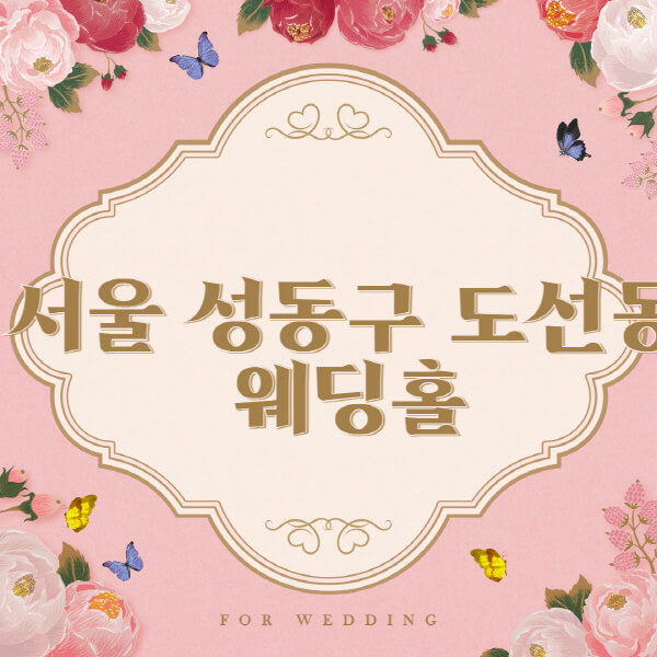 서울 성동구 도선동-웨딩홀-예식장-결혼식장-추천-순위-웨딩박람회-가격-견적-비교-식대-등급표-후기-리스트]