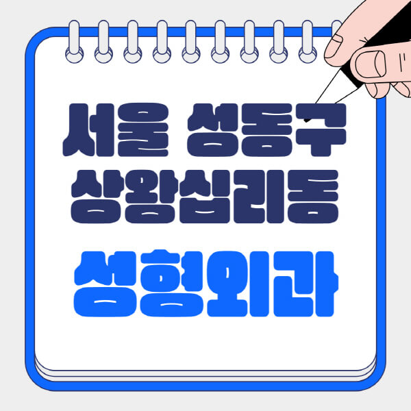서울-성동구-상왕십리동-성형외과-유명한-곳-추천-일요일-전문의-잘하는-곳-흉터-눈-코-얼굴-지방이식