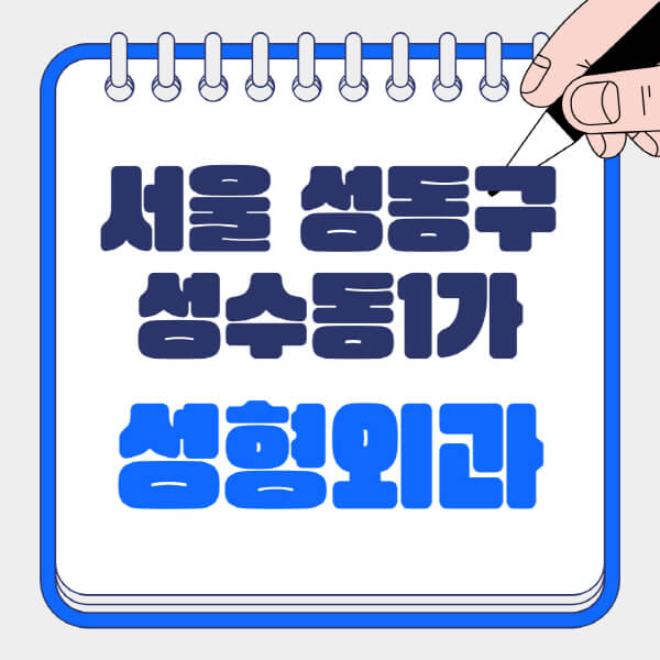 서울-성동구-성수동1가-성형외과-유명한-곳-추천-일요일-전문의-잘하는-곳-흉터-눈-코-얼굴-지방이식