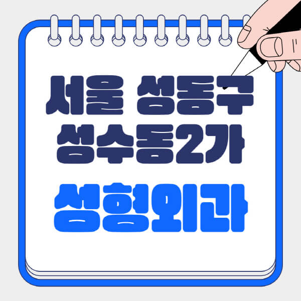 서울-성동구-성수동2가-성형외과-유명한-곳-추천-일요일-전문의-잘하는-곳-흉터-눈-코-얼굴-지방이식