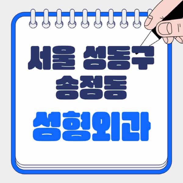 서울-성동구-송정동-성형외과-유명한-곳-추천-일요일-전문의-잘하는-곳-흉터-눈-코-얼굴-지방이식