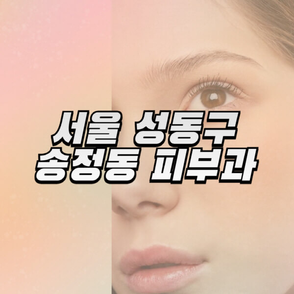 서울-성동구-송정동-피부과-잘하는-곳-추천-전문의-일요일-진료-유명한-곳-리프팅-보톡스-필러-레이저제모-여드름