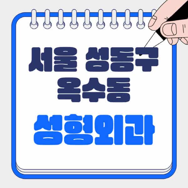 서울-성동구-옥수동-성형외과-유명한-곳-추천-일요일-전문의-잘하는-곳-흉터-눈-코-얼굴-지방이식