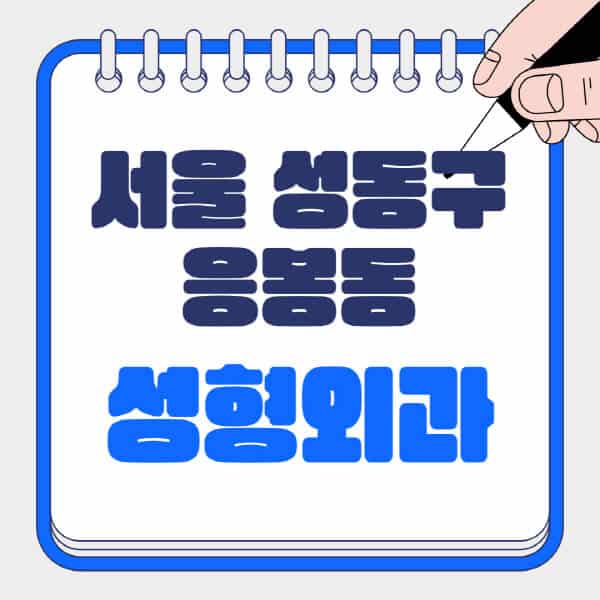 서울-성동구-응봉동-성형외과-유명한-곳-추천-일요일-전문의-잘하는-곳-흉터-눈-코-얼굴-지방이식